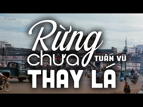 Thể hiện bởi Tuấn Vũ