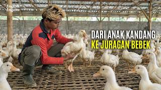 Download lagu Mantan Sales Sukses Jadi Juragan Punya 60 Ribu Puyuh & 30 Ribu Bebek mp3