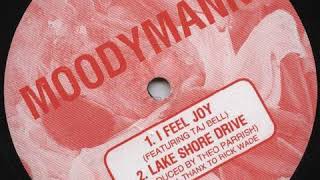 Theo Parrish - Lake Shore Drive