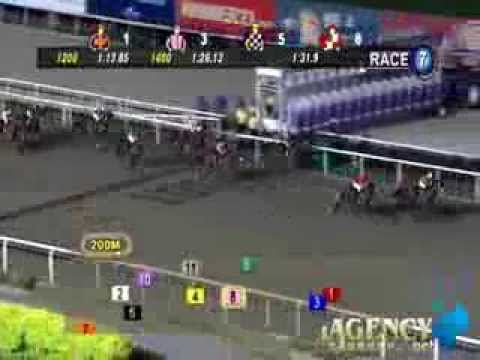 SINGAPORE RACE 25/10/2013 RACE 7 - iAgencyNet.com