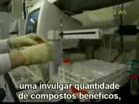 Documentário sobre a Tahitian Noni 02 de 04 Discovery