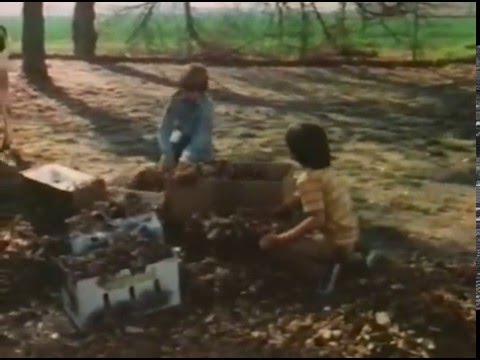 Soup and Me (1978)