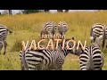 Rayvanny Vacation Official Music Video