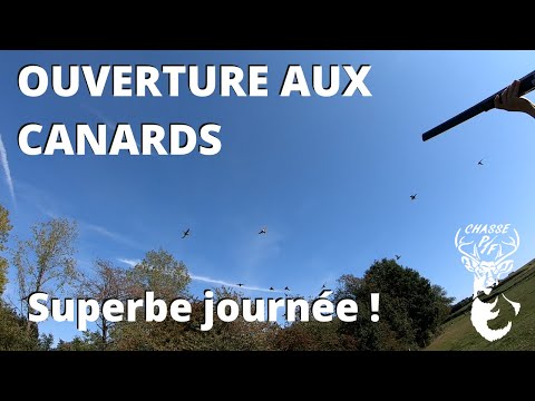Ouverture aux canards 2020, HD - une superbe journée !! - Chasse PF