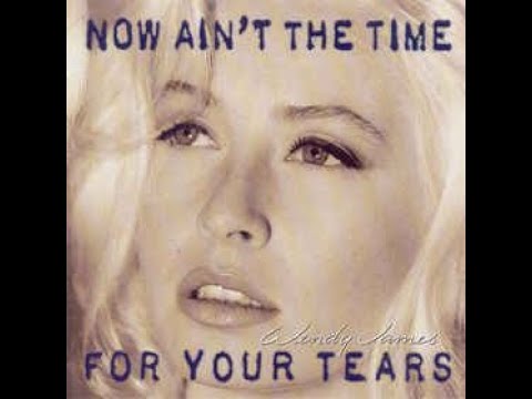 Wendy James - "Now Ain´t The Time For Your Tears".1993. FULL ALBUM