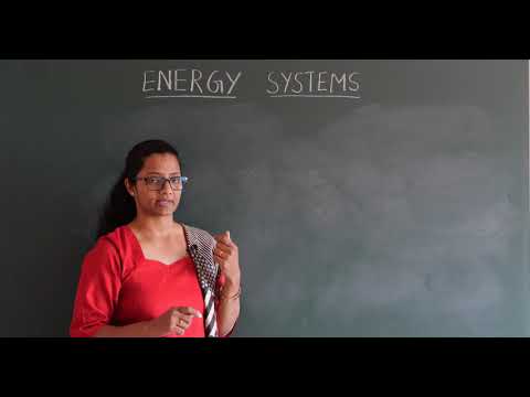 Energy Systems - The Three Energy Systems