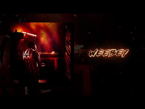 DJIBZ (ft. ZAKIZ) - WEEBEY (Audio Officiel)