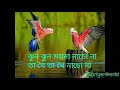 Jhun Jhun moyna nacho na  lyrics.💓 Bangla song.