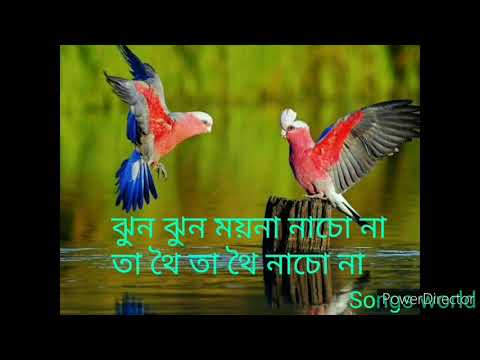 Jhun Jhun moyna nacho na  lyrics.💓 Bangla song.