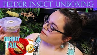 FEEDER INSECT UNBOXING + Feeding Some of the Pets!
