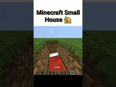 Mind-Blowing Minecraft House! OMG!