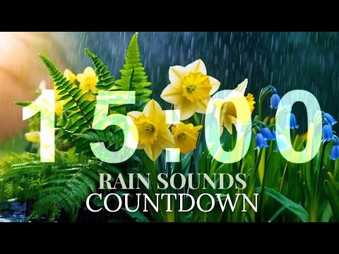 15 MINUTE TIMER: NATURE SOUNDS | RAIN SOUNDS |BIRDS CHIRPING