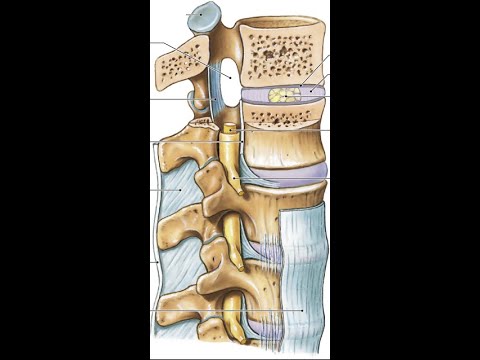Osteochondroza acută a genunchiului