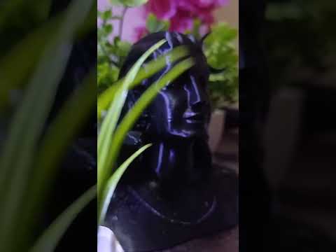 3D Printed @adiyogi @gurudev #3dprinted #adiyogi #adiyogisourceofyoga @creality