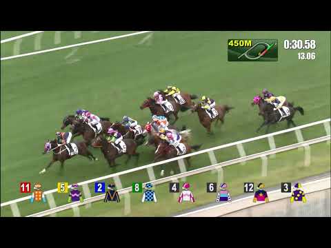 9/1/2022 (322) Whizz Kid - J Moreira