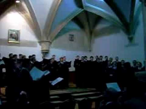 Corul Angeli - Canzonetta Napolitana(concert)