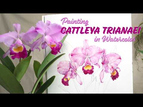 Painting an incredible orchid from the Tamiami Orchid Festival 2026 // Watercolor Tutorial