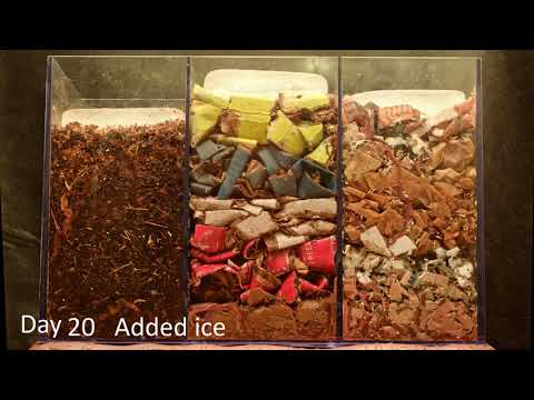 3-Chamber Carbon WORM BIN 145-day Time-Lapse ALL FRAMES - vermicomposting