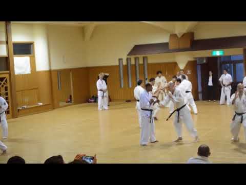 IRAQ KYOKUSHIN UNION 122TRAINNIG IN JAPAN SHIHAN ALI NASSER قتال في اليابان شيهان علي ناصر قتال