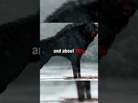 The Dire Wolf Was Bigger & heavier Than Modern Wolf&rsquo;s&hellip;..