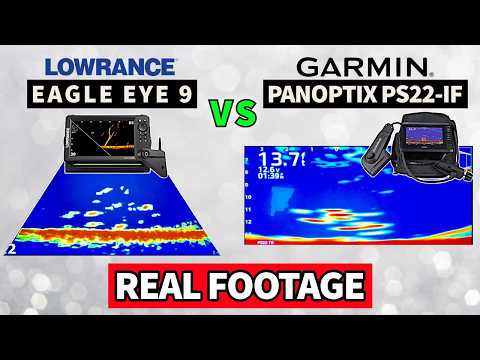 Panoptix PS22 vs Eagle Eye: Which Is Worth Your Money?