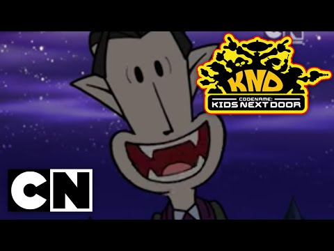 Codename: Kids Next Door - Operation: S.P.A.N.K.