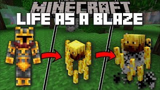 Minecraft LIFE AS A BLAZE MOD / FLY AROUND AS A BLAZE KING AND CONQUER THE NETHER!! Minecraft