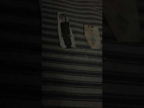 Total drama revenge of the island episode 10 randomized