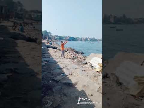 January 30, 2019(94)