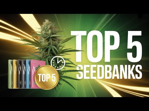 Top 5 Autoflower Seedbanks for 2025 🌱 | Best Cannabis Seeds for Fast, Easy Grows