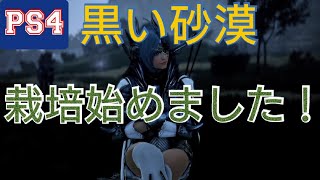 【PS4 黒い砂漠】農園栽培はじめました