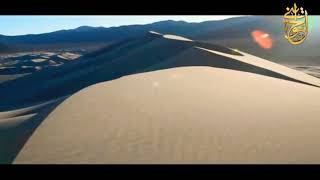 صورة أفرأيت إن متعناهم سنين | للشيخ الحويني