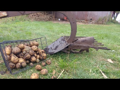 , title : 'Modified Horse Drawn Potato Digger In Action.'