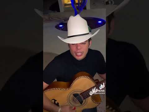 Nael carrillo “mi arbol y yo”