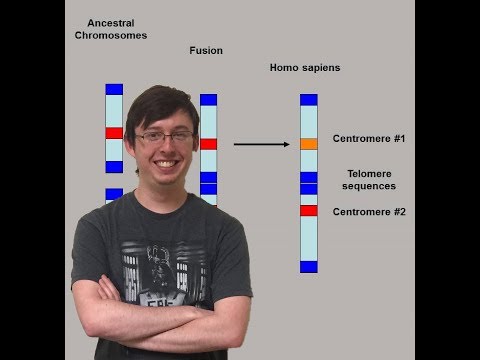 Chromosome 2--Re-Upload