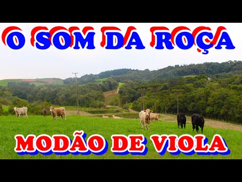 O SOM DA ROÇA - Modão de Viola Caipira e Sertanejo Raiz (Um pedaço do passado no presente)