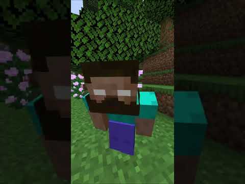 Herobrine Became Friends With ENTITY 303 in Minecraft #shorts