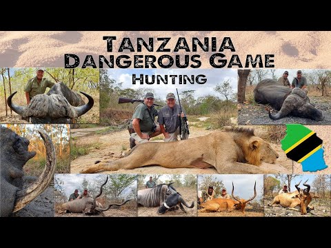 , title : 'Hunting Dangerous animals. Conservation in Africa - Without these hunts we'll lose all our wildlife.'