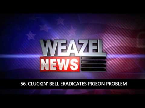 101 GTA IV Weazel News Reports