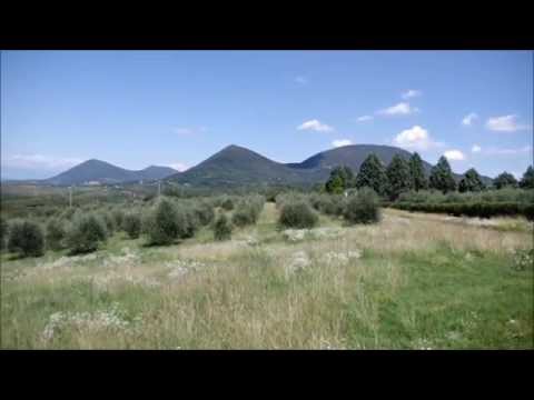 I colli sopra Cinto Euganeo...