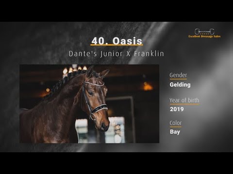 Oasis - Dante's Junior x Franklin