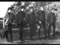 The Beau Brummels, I Will Go (vocal version)