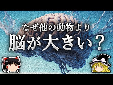 スペインでの考古学的発見:研究者らが地球外起源の古代の宝物を明らかにする
