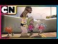 The Amazing World Of Gumball Gumball S Wild Adventures Begin Part 4 Cartoon For Kids Cnindia