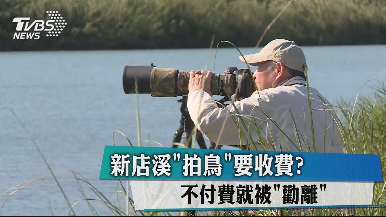 新店溪拍鳥要收費？　不付費就被勸離