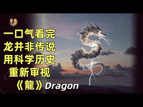 一口氣看完龍并非傳説！打破神話？用科學和歷史重新審視龍的存在！|小宇與小糖 dragon
