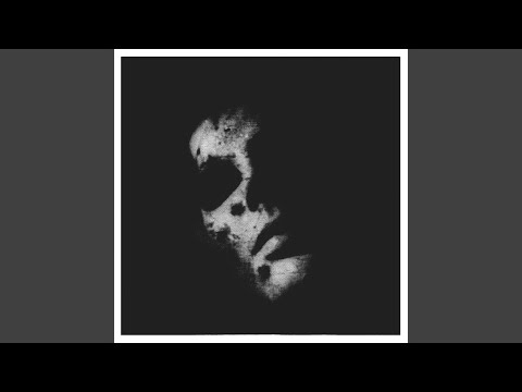 Horses in the Ground