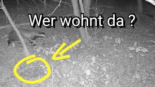 Wem gehört das Loch ?