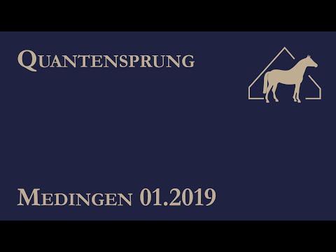 Quantensprung - Hengstschau 2019