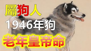 2024生肖運勢，2024十二生肖1946年出生的屬狗人性格，屬狗人很懂得追求理想，而且能夠實現，是屬狗人把理想放得不太高的緣故。這也是屬狗人聰明的做法，1946年屬狗人晚年生活不錯，是有皇帝命的屬相